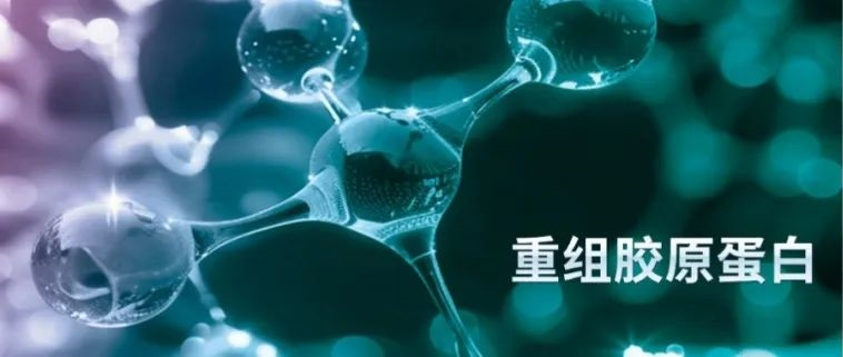 從實驗室“出走”，勇闖江湖